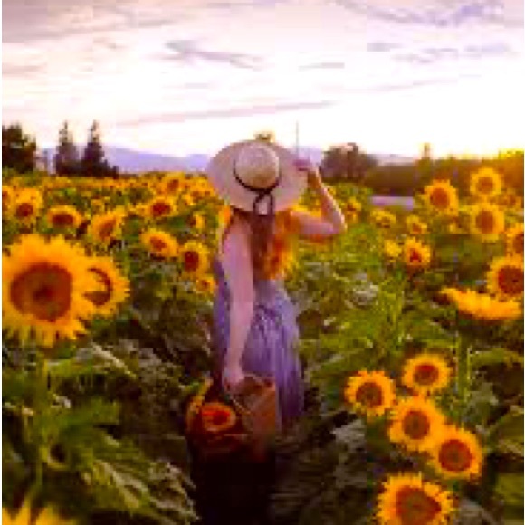 Meet your Posher, Callie - Picture 1 of 1